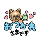 愛犬スタンプちゃい（個別スタンプ：5）
