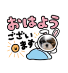 愛犬スタンプちゃい（個別スタンプ：6）