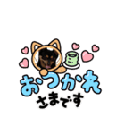 チワワ まめすけ Ver2（個別スタンプ：8）