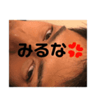 けんちゃんまる 1（個別スタンプ：6）