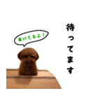 愛しのちょこぴー（個別スタンプ：9）
