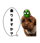 愛しのちょこぴー（個別スタンプ：12）