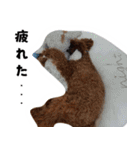 愛しのちょこぴー（個別スタンプ：14）