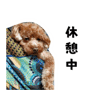 愛しのちょこぴー（個別スタンプ：18）