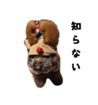 愛しのちょこぴー（個別スタンプ：20）
