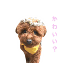 愛しのちょこぴー（個別スタンプ：28）