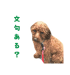 愛しのちょこぴー（個別スタンプ：32）