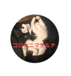 風太郎④（個別スタンプ：9）