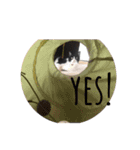 風太郎④（個別スタンプ：11）