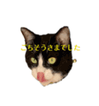 風太郎④（個別スタンプ：21）