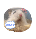 麦米スタンプ（個別スタンプ：2）