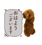トイプーのくぅちゃん1（個別スタンプ：3）