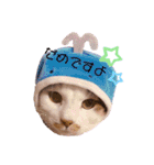 ピー助とゆかいななかまたち（個別スタンプ：3）