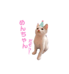 ピー助とゆかいななかまたち（個別スタンプ：8）