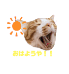 ピー助とゆかいななかまたち（個別スタンプ：13）