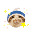 ピー助とゆかいななかまたち（個別スタンプ：18）