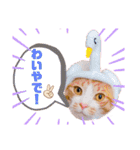 ピー助とゆかいななかまたち（個別スタンプ：23）