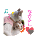 ピー助とゆかいななかまたち（個別スタンプ：24）