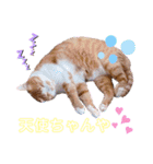 ピー助とゆかいななかまたち（個別スタンプ：30）
