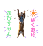ピー助とゆかいななかまたち（個別スタンプ：32）