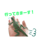 ブルーイグアナのベイちゃん①（個別スタンプ：7）