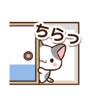 優しいブチ猫（個別スタンプ：31）