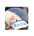 煽るよ！サメちゃん！2（個別スタンプ：1）