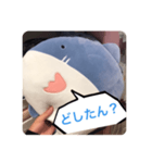 煽るよ！サメちゃん！2（個別スタンプ：15）