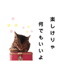 かーーーんちっ！（個別スタンプ：22）