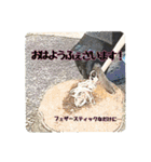 ソロキャンパー御用達（個別スタンプ：9）