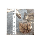 ソロキャンパー御用達（個別スタンプ：11）