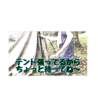 ソロキャンパー御用達（個別スタンプ：16）