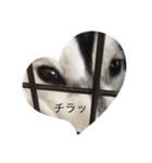 アイスとキルアとプリン（個別スタンプ：15）