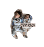 豆達（個別スタンプ：14）