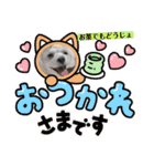 すあまとちょっとゆきちゃん2（個別スタンプ：2）