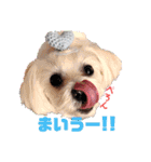 すあまとちょっとゆきちゃん2（個別スタンプ：12）