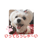 すあまとちょっとゆきちゃん2（個別スタンプ：16）