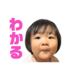 どすこいりったんとぼんぬのスタンプ（個別スタンプ：18）