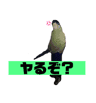覇気持ちの仲間（個別スタンプ：4）