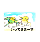 インコのコメとあずき（個別スタンプ：8）