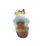 うちのアイル（個別スタンプ：6）