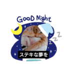 うちのアイル（個別スタンプ：9）