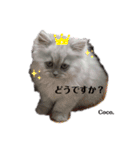 Coco.❤︎ 名前入り（個別スタンプ：1）