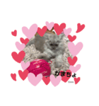 Coco.❤︎ 名前入り（個別スタンプ：5）