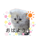 Coco.❤︎ 名前入り（個別スタンプ：13）