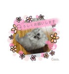 Coco.❤︎ 名前入り（個別スタンプ：14）