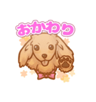 【愛犬ちゃん】ミニチュア ダックス（個別スタンプ：1）