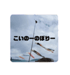 すばるまる2（個別スタンプ：14）