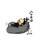 【SUCKS BOYS】（個別スタンプ：12）