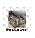 フェレットの日常 ②（個別スタンプ：7）